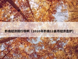 黔南经济排行榜啊（2020年黔南12县市经济出炉）