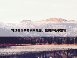 可以养电子宠物吗现在，我想养电子宠物