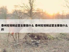 泰州短视频运营主要做什么 泰州短视频运营主要做什么的