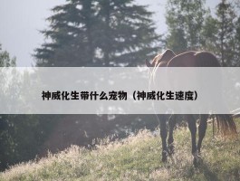 神威化生带什么宠物（神威化生速度）