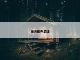 斯洛伐克足球