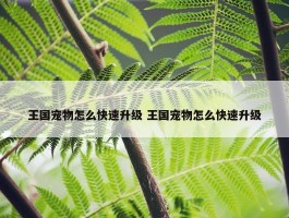 王国宠物怎么快速升级 王国宠物怎么快速升级