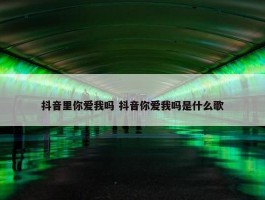 抖音里你爱我吗 抖音你爱我吗是什么歌