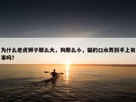 为什么老虎狮子那么大，狗那么小，猫的口水弄到手上有事吗？