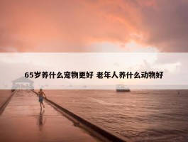 65岁养什么宠物更好 老年人养什么动物好