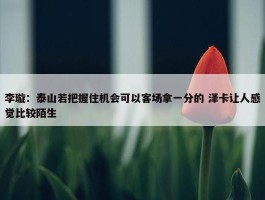 李璇：泰山若把握住机会可以客场拿一分的 泽卡让人感觉比较陌生