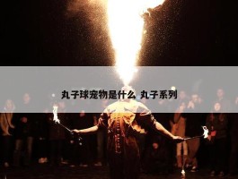 丸子球宠物是什么 丸子系列