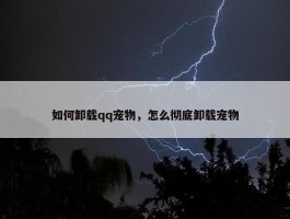 如何卸载qq宠物，怎么彻底卸载宠物