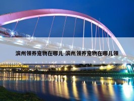 滨州领养宠物在哪儿 滨州领养宠物在哪儿领