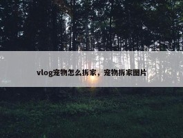 vlog宠物怎么拆家，宠物拆家图片