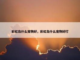 彩虹岛什么宠物好，彩虹岛什么宠物好打