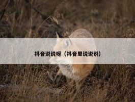 抖音说说呀（抖音里说说说）