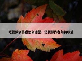 短视频创作者怎么运营，短视频作者如何收益