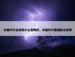 石器时代合成用什么宠物好，石器时代最强融合宠物