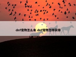 dnf宠物怎么来 dnf宠物怎样获得