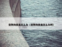 宠物狗很臭怎么办（宠物狗很臭怎么办啊）