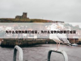 为什么宠物狗要打疫苗，为什么宠物狗都要打疫苗