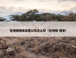 短视频搜索运营公司怎么样（短视频 搜索）