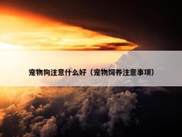 宠物狗注意什么好（宠物饲养注意事项）