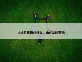 dnf龙宠物叫什么，dnf龙的宠物