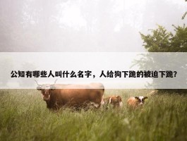 公知有哪些人叫什么名字，人给狗下跪的被迫下跪？