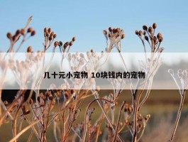 几十元小宠物 10块钱内的宠物