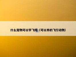 什么宠物可以学飞翔（可以养的飞行动物）