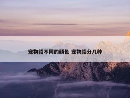 宠物貂不同的颜色 宠物貂分几种