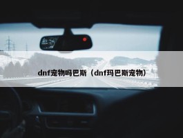 dnf宠物吗巴斯（dnf玛巴斯宠物）