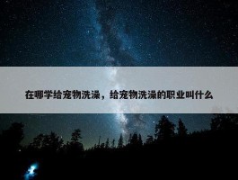 在哪学给宠物洗澡，给宠物洗澡的职业叫什么