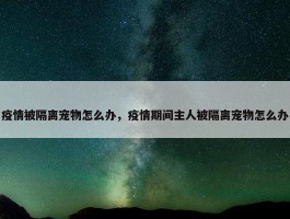 疫情被隔离宠物怎么办，疫情期间主人被隔离宠物怎么办