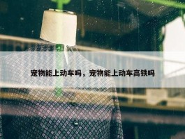 宠物能上动车吗，宠物能上动车高铁吗