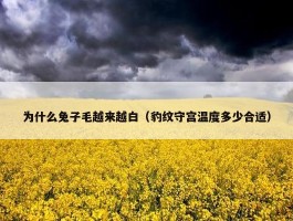 为什么兔子毛越来越白（豹纹守宫温度多少合适）