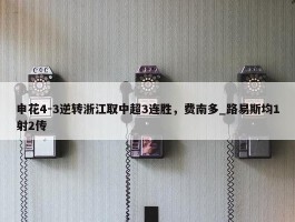 申花4-3逆转浙江取中超3连胜，费南多_路易斯均1射2传