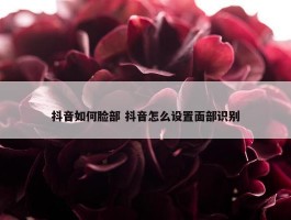 抖音如何脸部 抖音怎么设置面部识别