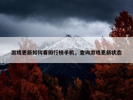 游戏更新如何看排行榜手机，查询游戏更新状态