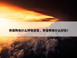 养宠物有什么神奇感觉，养宠物有什么好处?