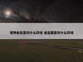 宠物老鼠喜欢什么环境 老鼠最喜欢什么环境