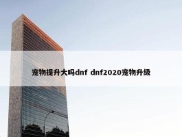 宠物提升大吗dnf dnf2020宠物升级