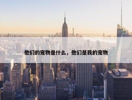 他们的宠物是什么，他们是我的宠物