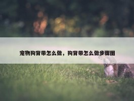 宠物狗背带怎么做，狗背带怎么做步骤图