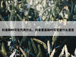 抖音限时可见代表什么，抖音里面限时可见是什么意思