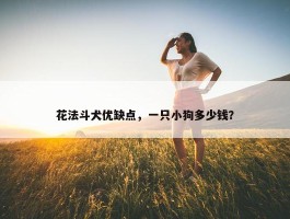 花法斗犬优缺点，一只小狗多少钱？