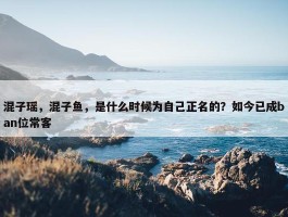 混子瑶，混子鱼，是什么时候为自己正名的？如今已成ban位常客