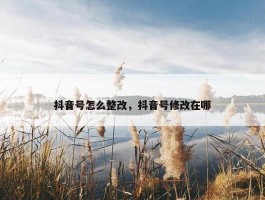 抖音号怎么整改，抖音号修改在哪