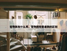 宠物鹅有什么用，宠物鹅和普通鹅的区别