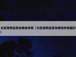 大型宠物鼠类有哪些种类（大型宠物鼠类有哪些种类图片）