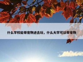 什么学校能带宠物进去玩，什么大学可以带宠物