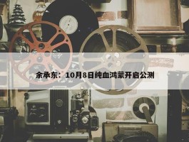 余承东：10月8日纯血鸿蒙开启公测