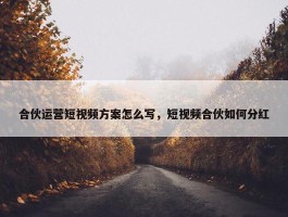 合伙运营短视频方案怎么写，短视频合伙如何分红